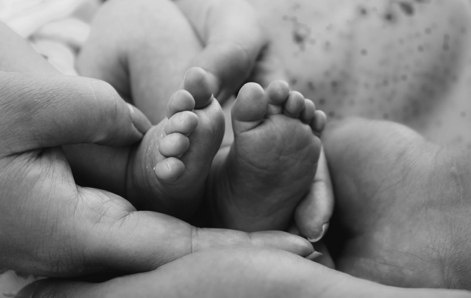 Baby feet held in hands